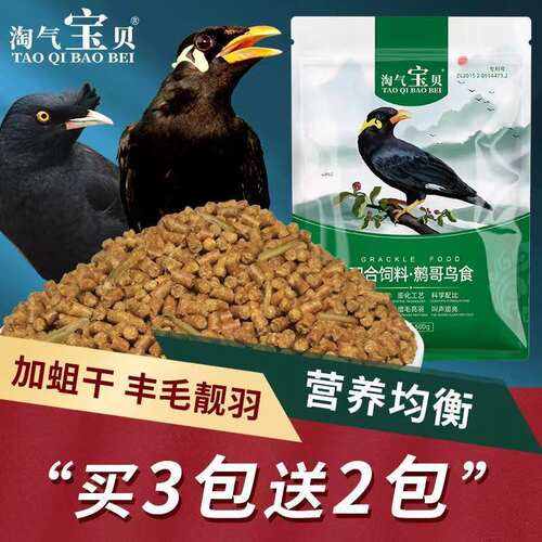 【买2送1买3送2包】淘气宝贝鹩哥