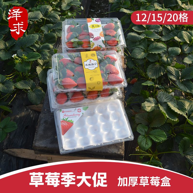 草莓包装盒一次性加厚透明水果盒快递专用防摔高档带托分格保鲜盒