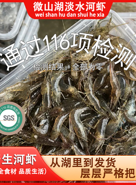 微山湖河虾新鲜速冻生野捕淡水大虾小草虾当日捕捞顺丰包邮