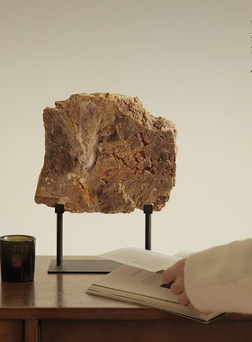 侘寂风原矿木化石桌面摆件工艺品