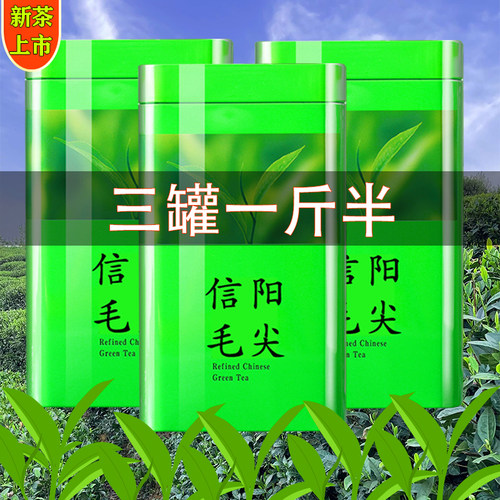 茶叶【买一斤送半斤】新茶浓香型