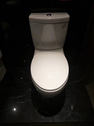 现货TOTO分体坐便器马桶CW981RB/SW981RB