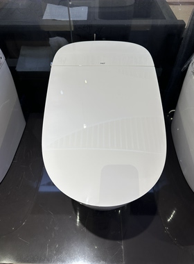 R&T瑞尔特轻智能坐便器UX30