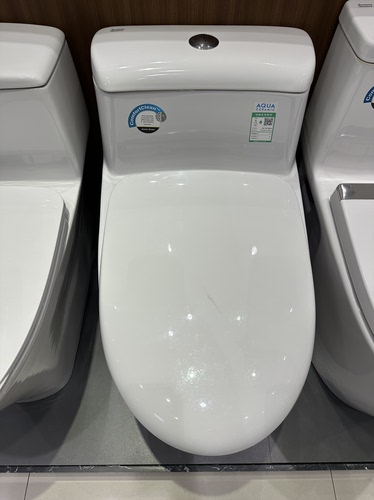 American Standard美标卫浴洁具连体马桶坐便器CCAS1860座厕