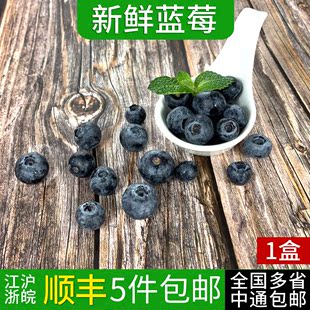 包邮 新鲜蓝莓鲜果1盒 现摘美味浆果水果辅食材料 5件