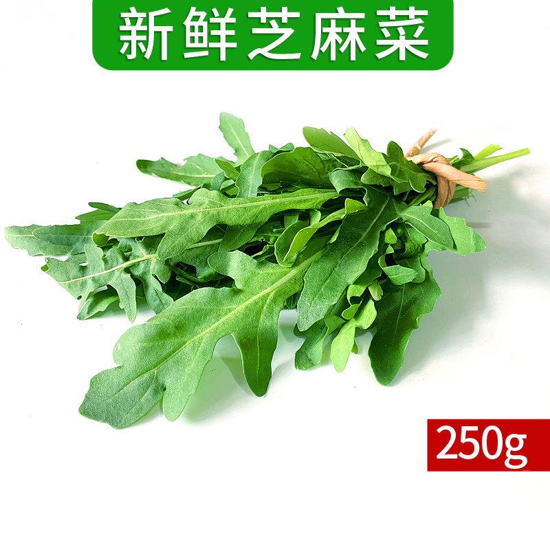芝麻菜250g 新鲜蔬菜沙拉食其它