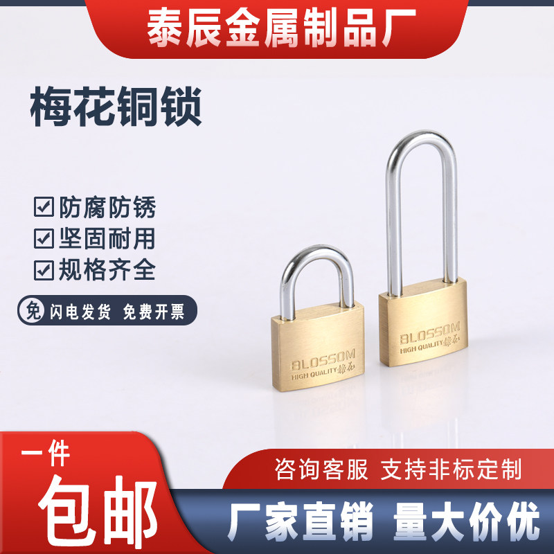 【免费开专票】梅花锁防盗