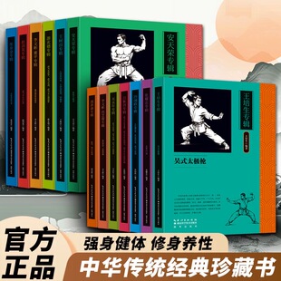 【官方正品】全13册中华传统武术经典传书专辑岳家拳流星锤武术