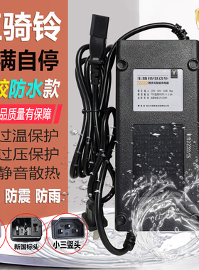 原配玉骑铃电动车灌胶防水充电器48V60V72V96V108V20DS新国标插头