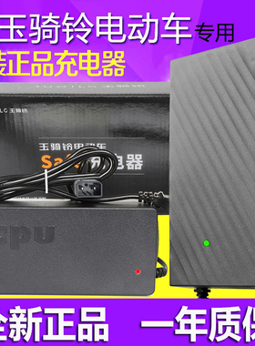 玉骑铃电动车充电器48V60V72V80V84V96V108V20DS原装两孔新公插头