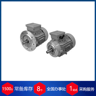 供应意大利BEA Ingranaggi三相异步电机T3A