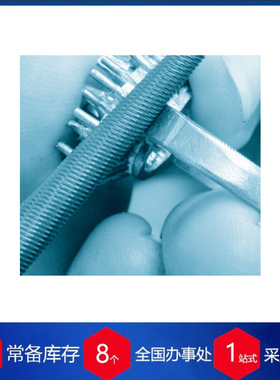 瑞士鱼牌VALLORBE 特种钢锉刀LR12830 12843