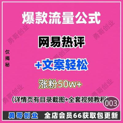 爆款流量公式项目副业课程教程视频资料素材在家就能挣到米操作易