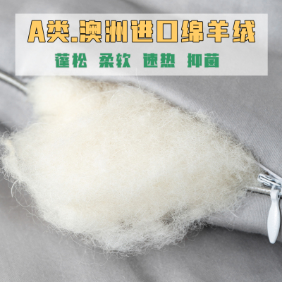 澳洲进口羊毛被冬被加厚保暖秋冬棉被子被芯四季通用被褥1.8*2.2m