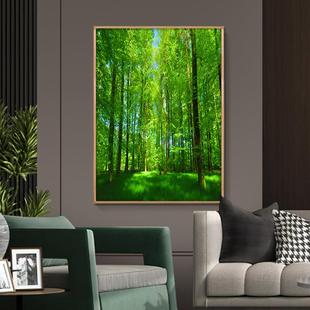2026绿色小清新大树装饰画现代简约玄关挂画树木树林森林风景壁画