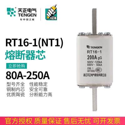 TENGEN天正电气 RT16-1 NT1 RT36-1熔断器芯保险丝160A 200A 250A