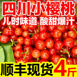 现摘现发四川小樱桃恩特儿攀枝花土樱桃新鲜应季水果