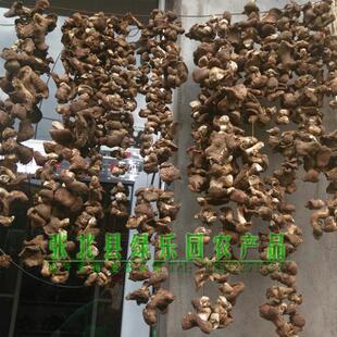 张家口口蘑 野生口蘑 纯野生蘑菇 杨树林红头蘑菇 去泥根蘑菇包邮