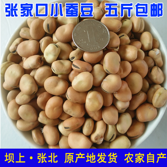 农家自种生蚕豆新蚕豆生的干蚕豆张家口小大豆小蚕豆散装农产品