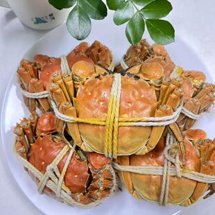 【正常发货 时效慢】芦苇荡大闸蟹公蟹母蟹组合 6小时内反馈售后