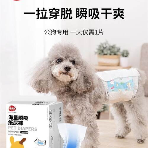 male dog special paper diaper teddy small pet hygiene physio