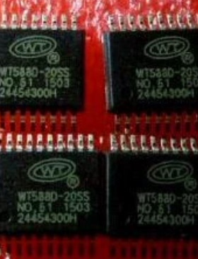 WT588D WT588D-20SS WT5880-20SS SSOP20 WT588D16-28SS SSOP28