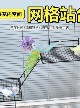 鹦鹉铁艺站台休息平台跳台虎皮玄凤玩具站板挂钩铁艺网架鸟笼M