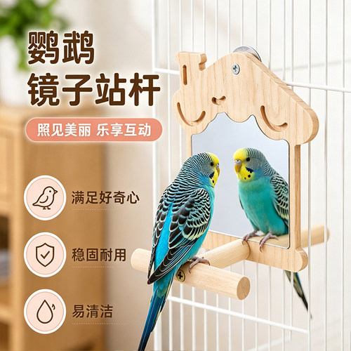 鹦鹉镜子站架磨嘴磨爪休息站台虎牡丹玄凤专用鸟站杆笼内装饰用具