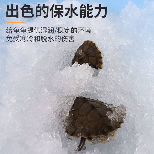 乌龟过冬垫材吸水树脂高分子保湿保水剂爬宠防寒保暖用品冬眠神器