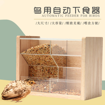 芦丁鸡自动喂食器喂食架食槽鹦鹉鸟用玄凤下料食盒食盆鸟用品G