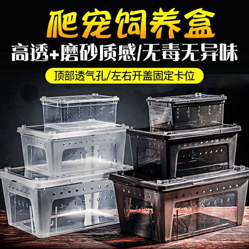 爬宠饲养盒爬虫专用饲养箱蜥蜴守宫蜘蛛角蛙昆虫乌龟缸蜈蚣蛇两栖