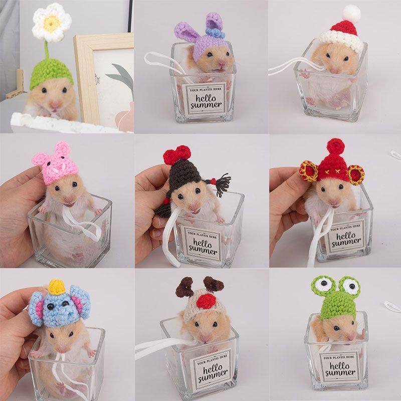 仓鼠帽子宠物仓鼠专用小帽子衣服可爱迷你毛绒手工编织金丝熊鹦鹉,宠物/宠物食品及用品,玩具/造景装饰,淘宝优惠券,粉丝福利购,淘宝优惠卷