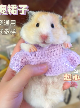 仓鼠小裙子荷兰猪松鼠花枝鼠蜜袋鼯宠物迷你小衣服G