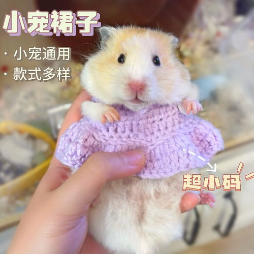 仓鼠小裙子荷兰猪松鼠花枝鼠蜜袋鼯宠物迷你小衣服G
