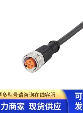IFM EVC177 连接电缆订购品
