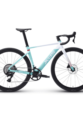 xds喜德盛2025款AD350公路自行车铝合金车架油压碟刹男女竞速赛车