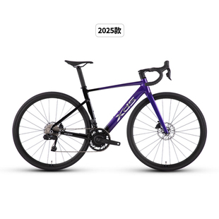 喜德盛公路车自行车2025款 AD500电子变速器功率计齿盘24速进阶车