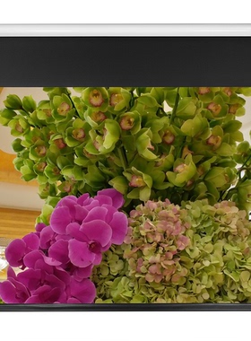 高档经科100寸120寸133寸16：9电动拉绳投影机幕无线遥控拉线幕布