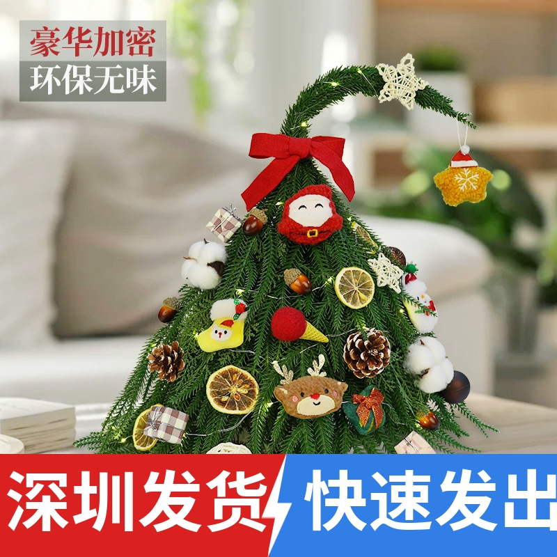深圳创意圣诞树新款家用小型诺贝松圣诞节迷你桌面圣诞装饰品摆件
