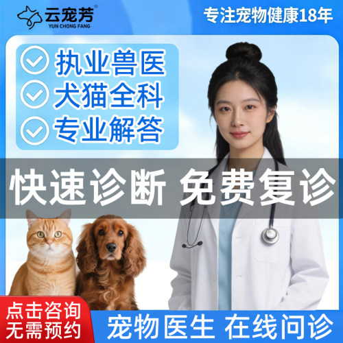 宠物医生在线问诊线上咨询猫咪狗狗宠物问题执业兽医在线咨询