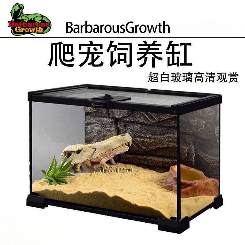 养青蛙专用缸热带雨林缸生态饲养缸客厅造景摆件蜥蜴乌龟寄居蟹爬
