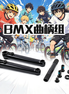 BMX表演车三段曲柄组铬钼钢材质48T 170mm轴直径19mm左右曲柄轴棍