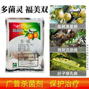 桃树穿孔病流胶病梨树黑星病苗床土壤杀菌消毒剂多菌灵福美双农药