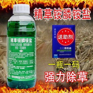 精草铵膦铵盐除草烂根剂果园荒地强力小飞蓬草甘磷除草剂正品农药