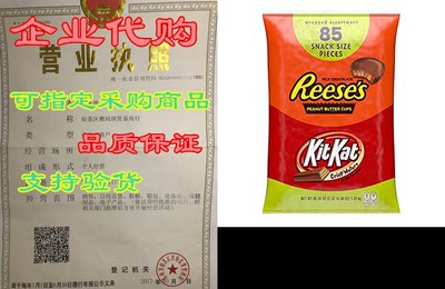 Reese's & Kit Kat Halloween Chocolate Candy Variety P