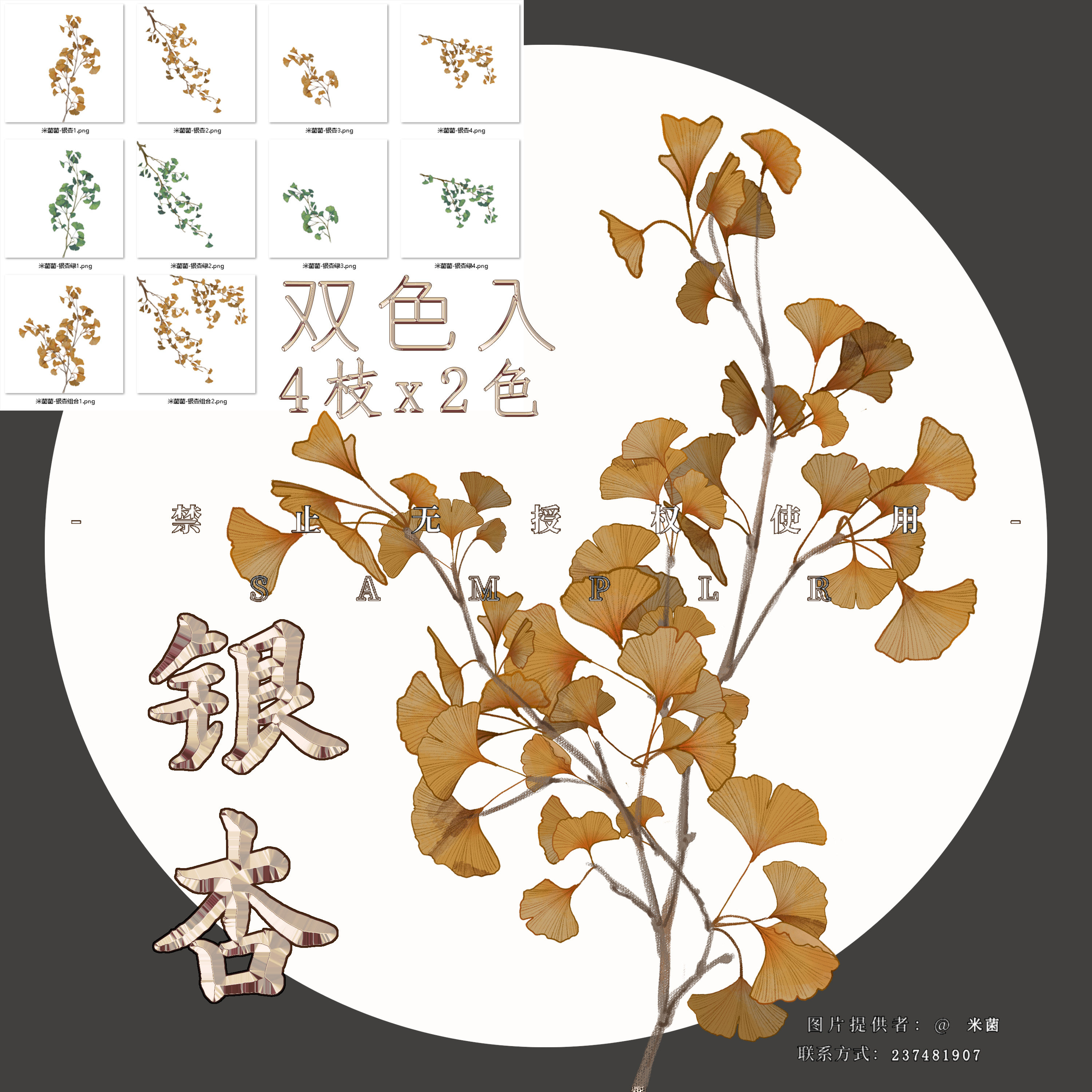 【银杏】原创植物素材花卉透明底古风png可商银杏免抠绘画背景