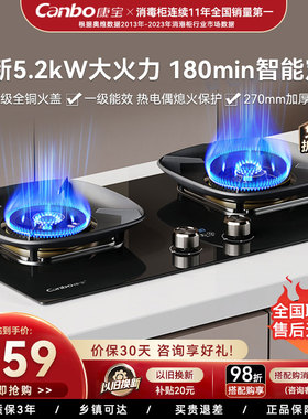 康宝燃气灶煤气灶家用双灶厨房灶具全铜火盖智能定时大火力2QB670