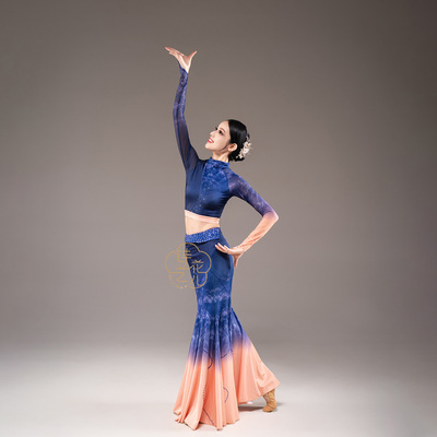 新款傣族舞璀璨桃李杯艺考定制