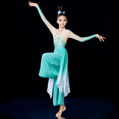 新款 独舞成人艺考表演服定制 古典舞蹈演出服舞飘逸大裙摆流光同款