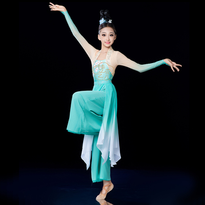 定制新款古典舞蹈成人艺考表演服
